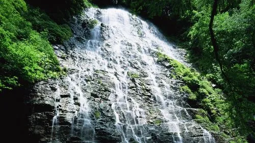 科技高效独特